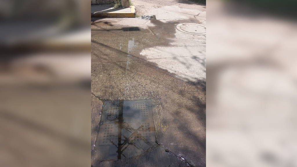 Celaya: Fuga de agua potable en Santa Teresita lleva un año sin ser atendida