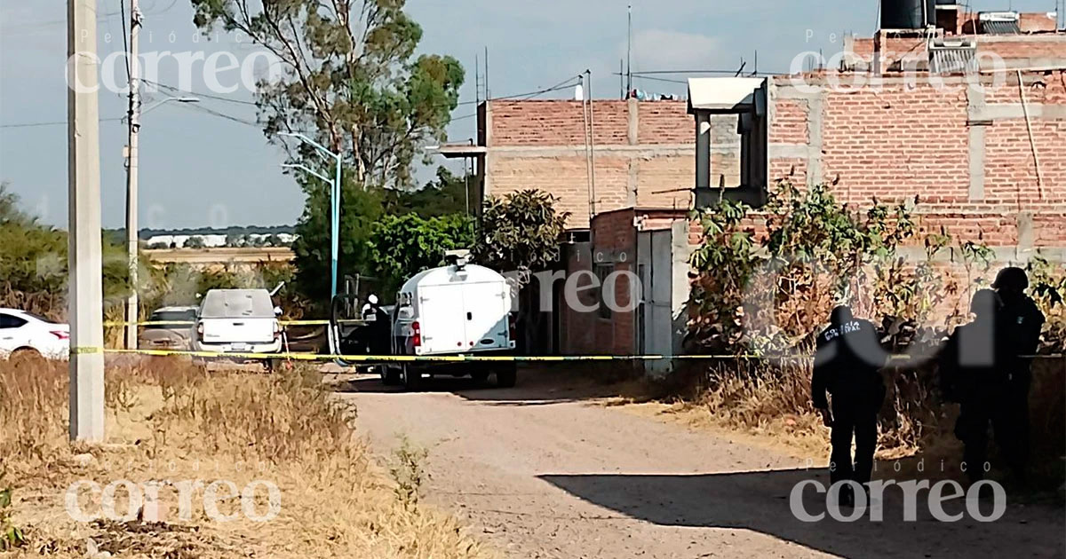 En los últimos 3 meses cinco familias completas de Guanajuato han sido masacradas