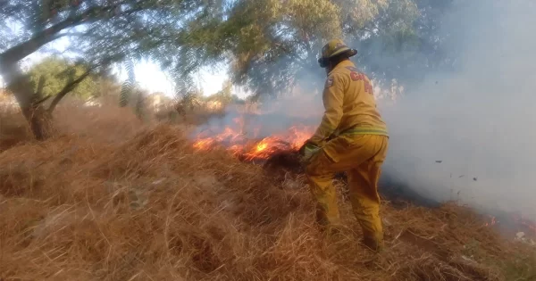 De cada 10 incendios en Silao, 8 son en pastizales, indica Protección Civil