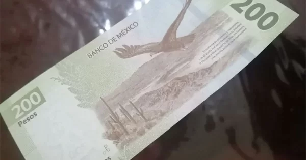 Alertan por billetes falsos en el Tomasa Esteves de Salamanca