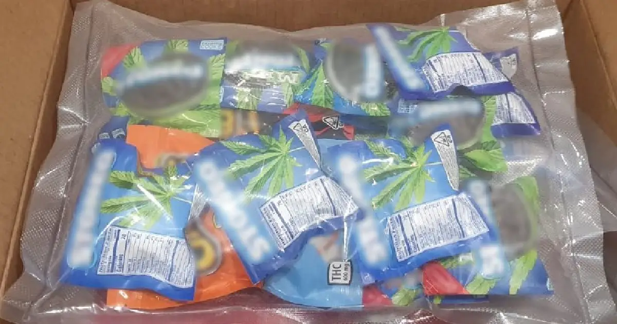 GN asegura comestibles con aparente mariguana en Guanajuato