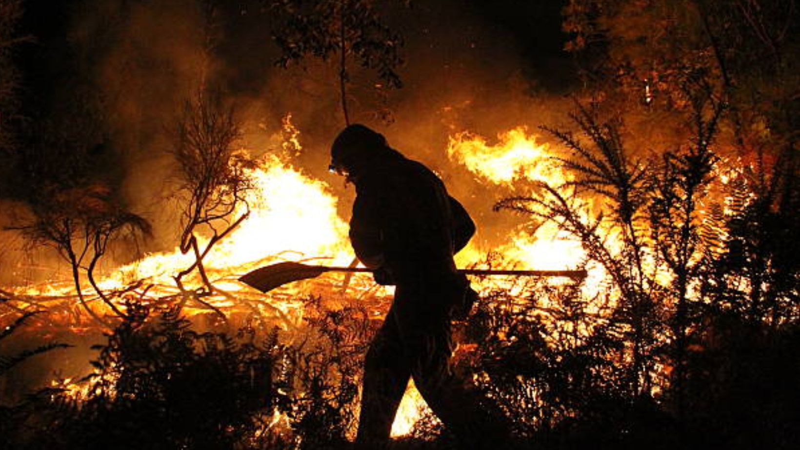 ¿Cuál es el impacto de incendios en Guanajuato en el medio ambiente y la salud?