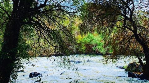 ¿Conoces el Eco Parque El Sabinal en Salvatierra? Todo un oasis natural