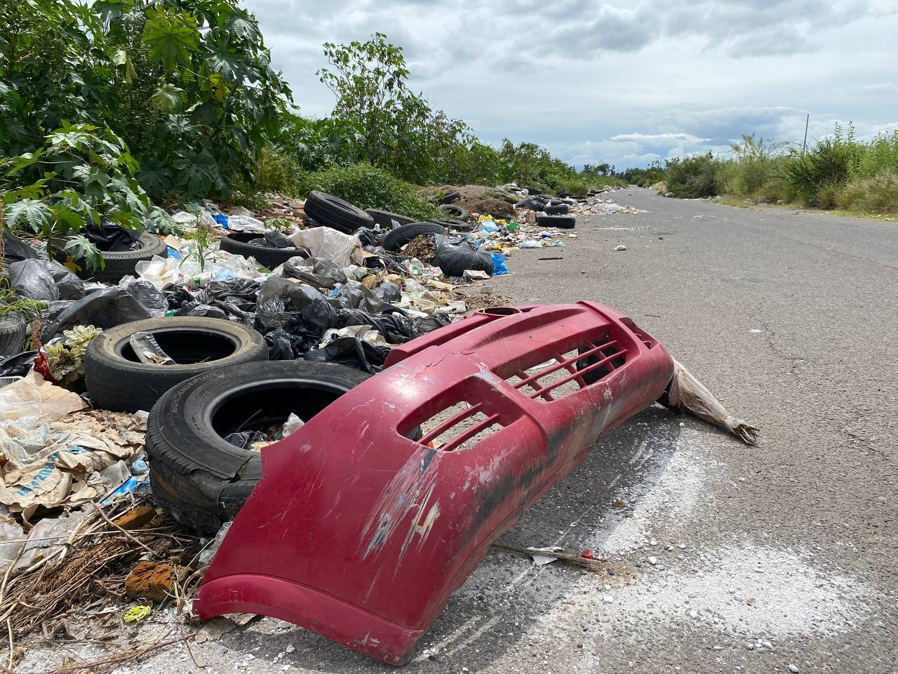 Basura, ropa y hasta animales muertos: denuncian tiradero clandestino cerca del Ingudis en Silao