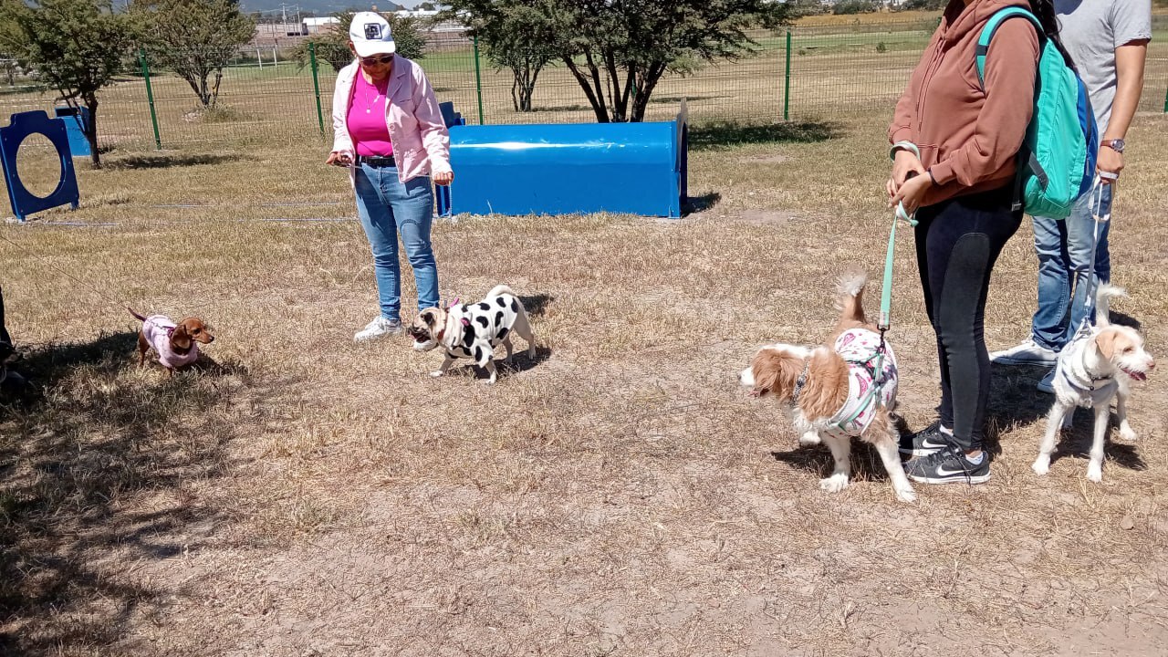 Inauguran primer parque canino en San José Iturbide, ¿cómo es y dónde está? 