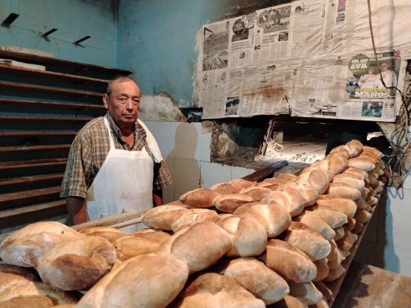 Don Prisciliano mantiene viva la tradición del bolillo artesanal en Manuel Doblado por más de 40 años 