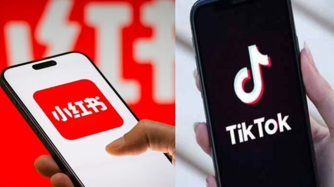 Usuarios de TikTok en EU migran a RedNote y Lemon8 ante posible cierre de la App