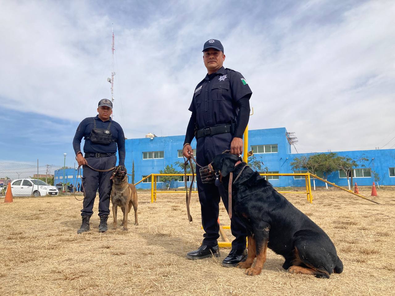 Perros Policía en Silao protegen con su olfato e instinto ¿conocías a Coyote, Tequila y Bastian?