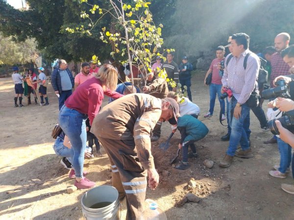 Guanajuato celebra el medio ambiente: reforestan Los Pastitos y promueven educación ambiental