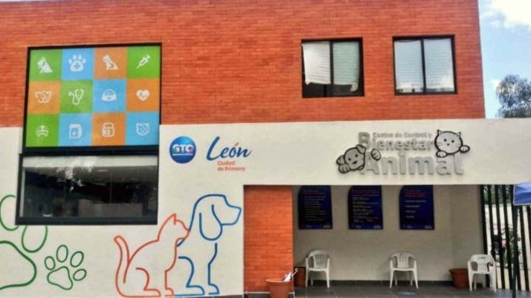 ¿Cuándo estará listo el Hospital de Mascotas en León? Esto dijo Ale Gutiérrez 