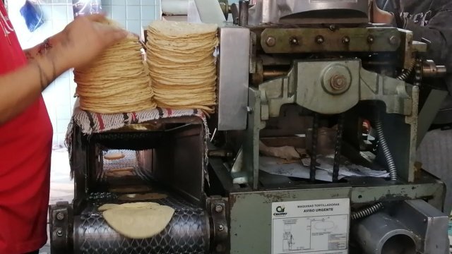 ¡Pagan 26 pesos por sus taquitos! Aumento de dos pesos en kilo de tortilla sorprende a Acámbaro