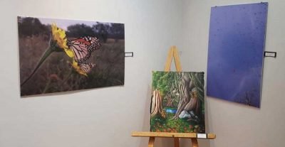 Mariposa monarca brilla en la casa de la Cultura de Jérecuaro