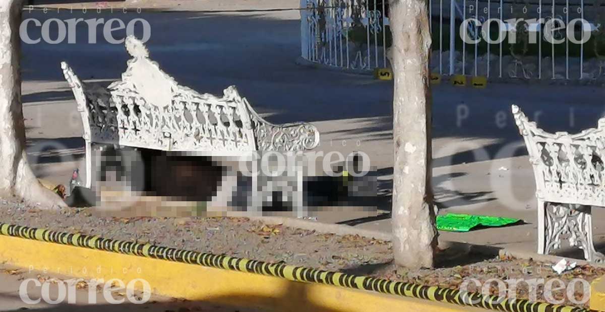 Mujer es sorprendida y asesinada cuando descansaba en el jardín