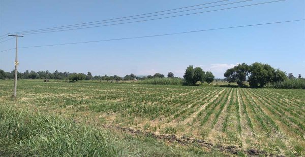 Preocupa la inseguridad en el campo