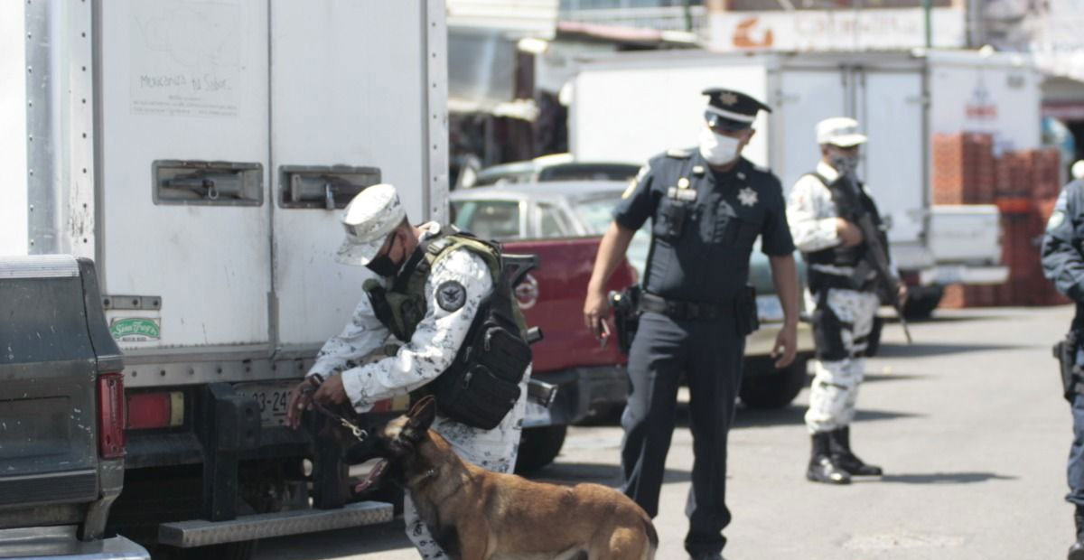 93 personas detenidas en los últimos días, resultado de los operativos de células de seguridad