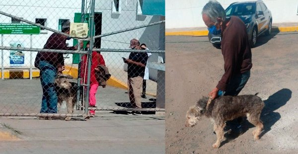 Pierrot es liberado y ya ha vuelto con sus dueños