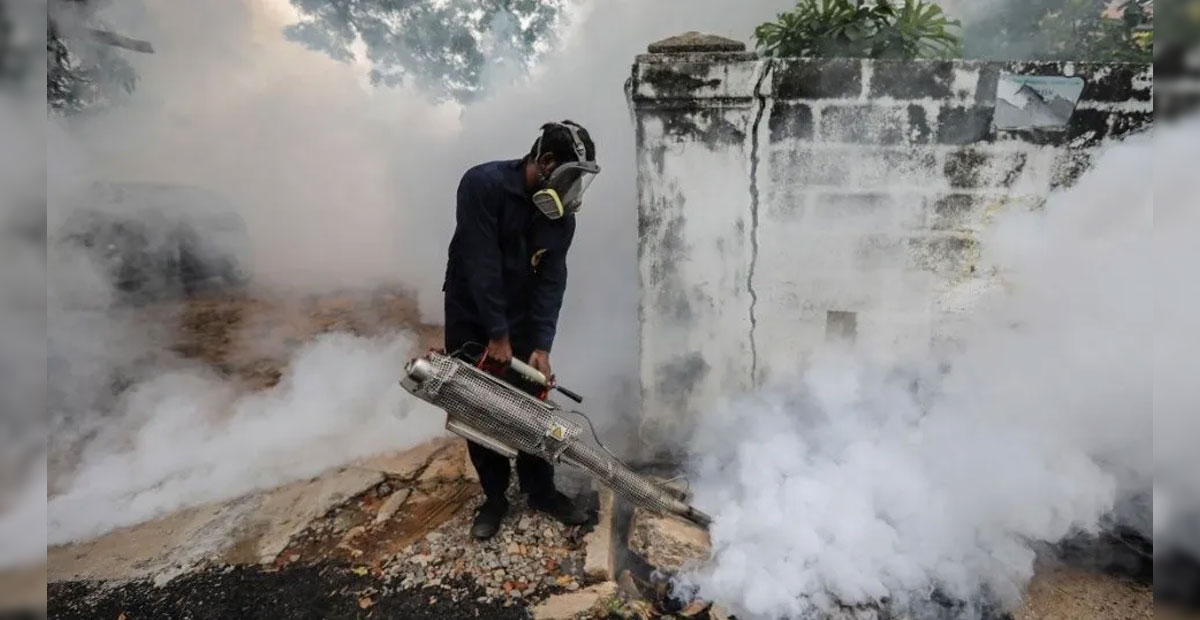 ¿Covidengue? Como diferencia síntomas