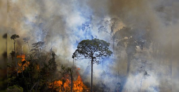 Brasil despliega a la Fuerza Nacional para combatir los incendios