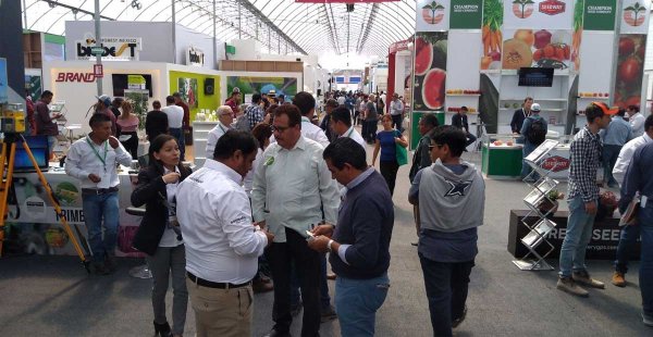 Muertes y contagios podrían dispararse con la realización de la Feria de León y Expo: Bienestar