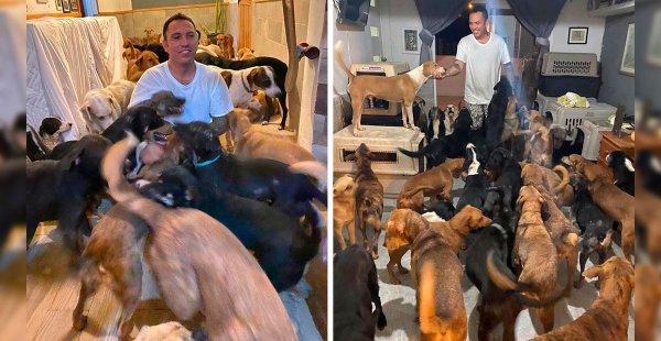 Mexicano protege a más de 300 animales del huracán Delta