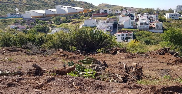 Ecologistas denuncian ‘camino clandestino’; lo cerrarán con cerco humano el próximo domingo