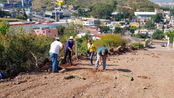 Critican intervención de ecologistas en el nuevo camino al Congreso