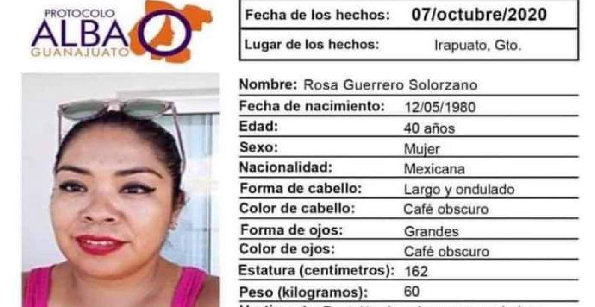 ¿La has visto? Ayuda a Rosa a regresar a casa