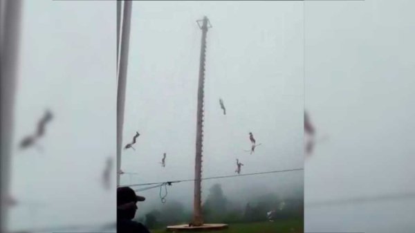 Cae volador de Papantla desde 20 metros de altura; lo captan en video