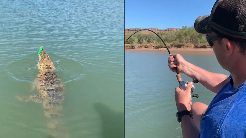 Un pescador atrapa un gigantesco cocodrilo