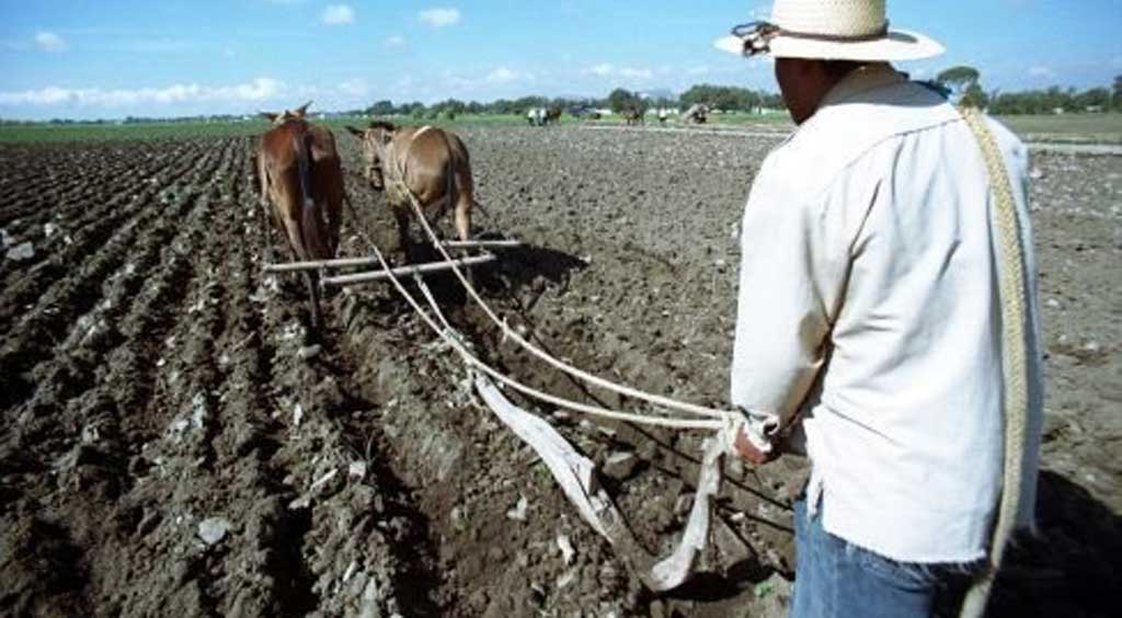 Lamenta CNC nula apertura de la Federación al campo