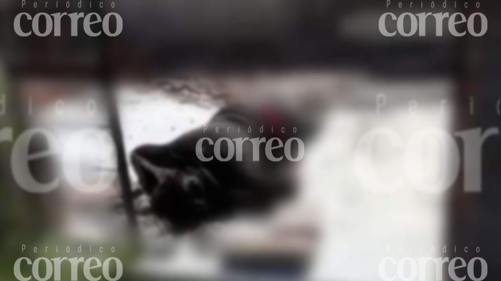 Hallan el cadáver de una mujer en la colonia Aurora