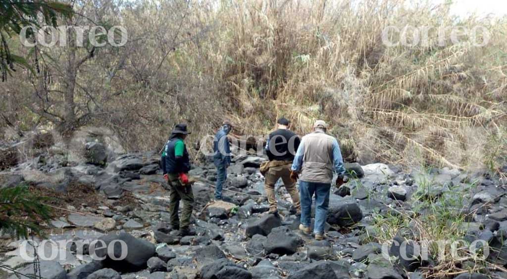 Esta es la zona donde encontraron la fosa en Salvatierra