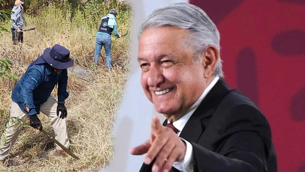 “Se está atendiendo”, dice AMLO tras encontrar 59 cadáveres en Salvatierra