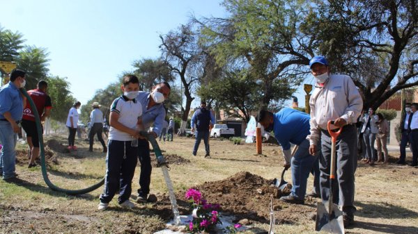 Reforestan camellón central de Valle de Las Huertas