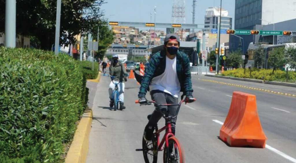 Temen proyecto de ciclovía afecte árboles de camellones