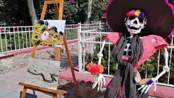 Muestran mediante fotografías biodiversidad de ‘El Pinal de Zamorano’