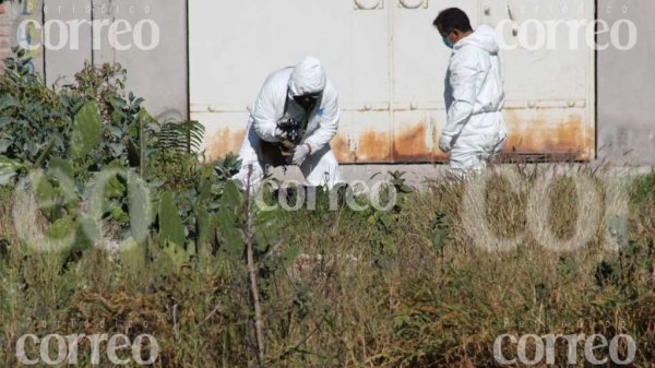 Localizan tres cadáveres calcinados en Celaya