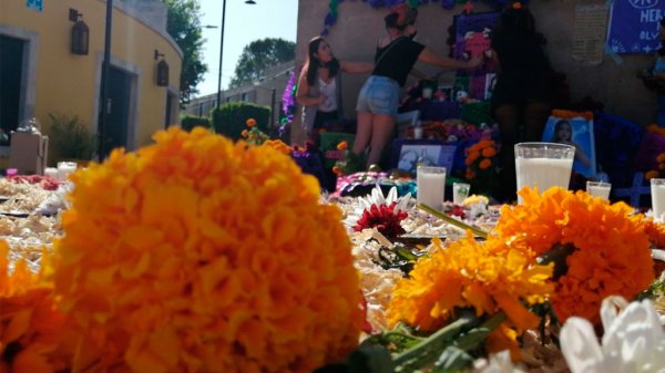 Honran a mujeres asesinadas con altar de muertos