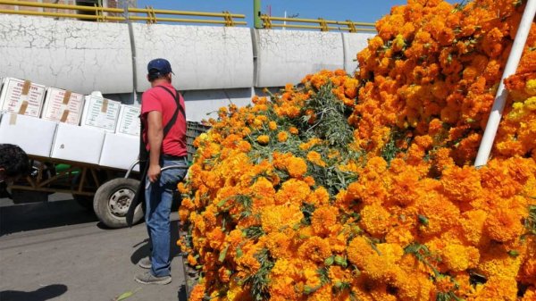 Vendedores de flores han perdido entre un 70 y 80 por ciento de su inversión