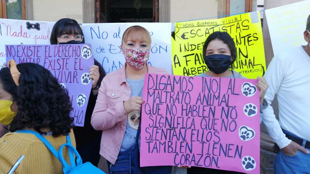 Se oponen a “centro de exterminio” de perros en Salamanca