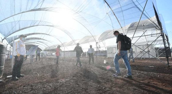 Reconocen medidas en Expo Agroalimentaria