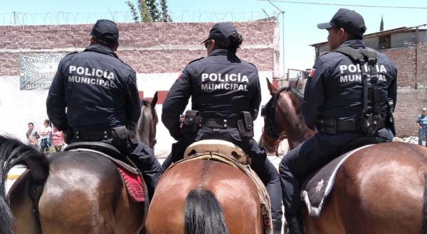 Busca Municipio reducir equipo de Policía Montada