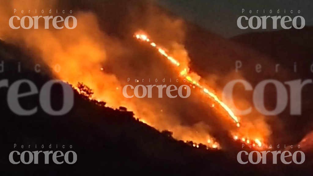 Bomberos combaten extensos incendios de pastizal en la capital