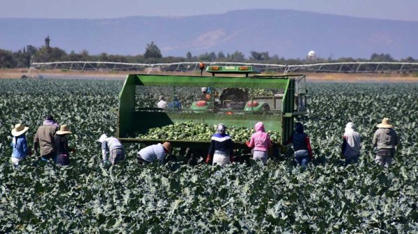 Guanajuato será anfitrión para la edición décima séptima del Foro Global Agroalimentario