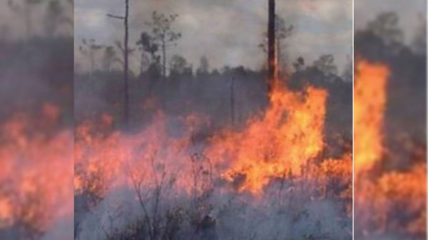 Detectan mala calidad de aire en el Corredor Industrial