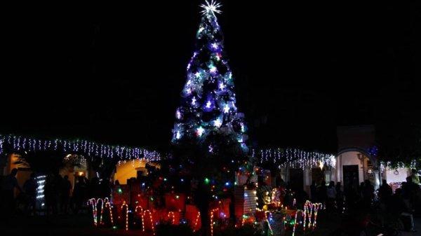 Festejan el tradicional encendido del árbol en Pueblo Nuevo