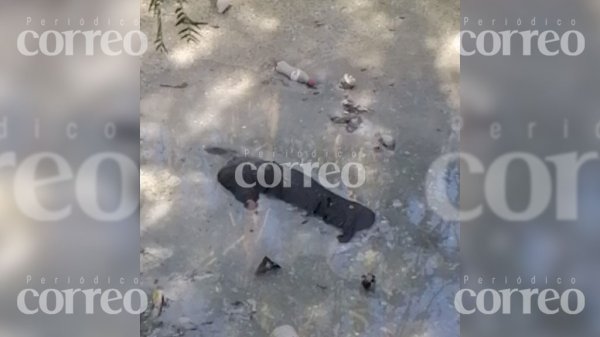 Hallan cadáver en putrefacción en canal de San Juan de la Vega