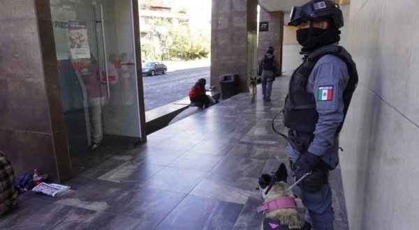 Refuerzan la vigilancia de aguinaldos con perritos policía