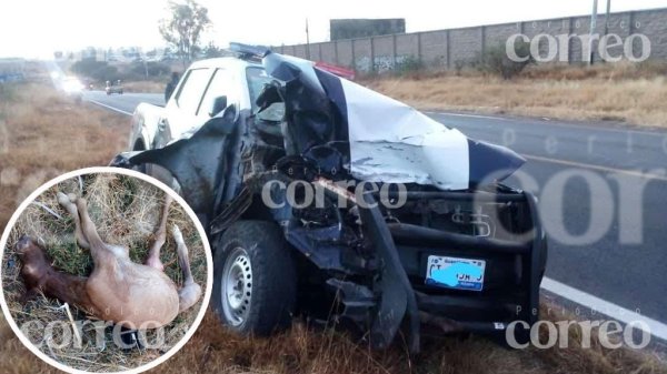 Patrulla a exceso de velocidad choca y mata a un caballito