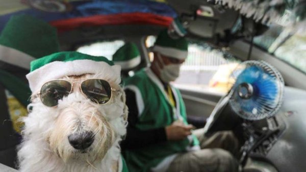 Taxista y Santa Claus canino recorren capital de Colombia brindando esperanza en pandemia